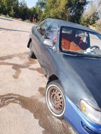 كورله • ١٩٩٣ • سوك الشيوخ