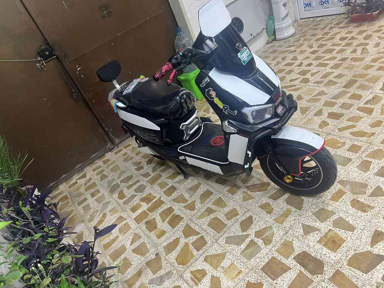 السلام عليكم
ريان صاعقه دراجه شحن

نضافه فول سوده
دبل سويج دبل بصمه
ست بطاريات دبل مصطره
ماشيه 240 الف
دبل دسك امامي
زوج تايات جديد
سرعه 85 حقيقي
تمشيك 75 كيلو
شرط على الفحص وين من يعجبك

زينول عالي ناصي 

*********** ملاحضة المو شراء لا يكسر بيها السعر مليون 150
