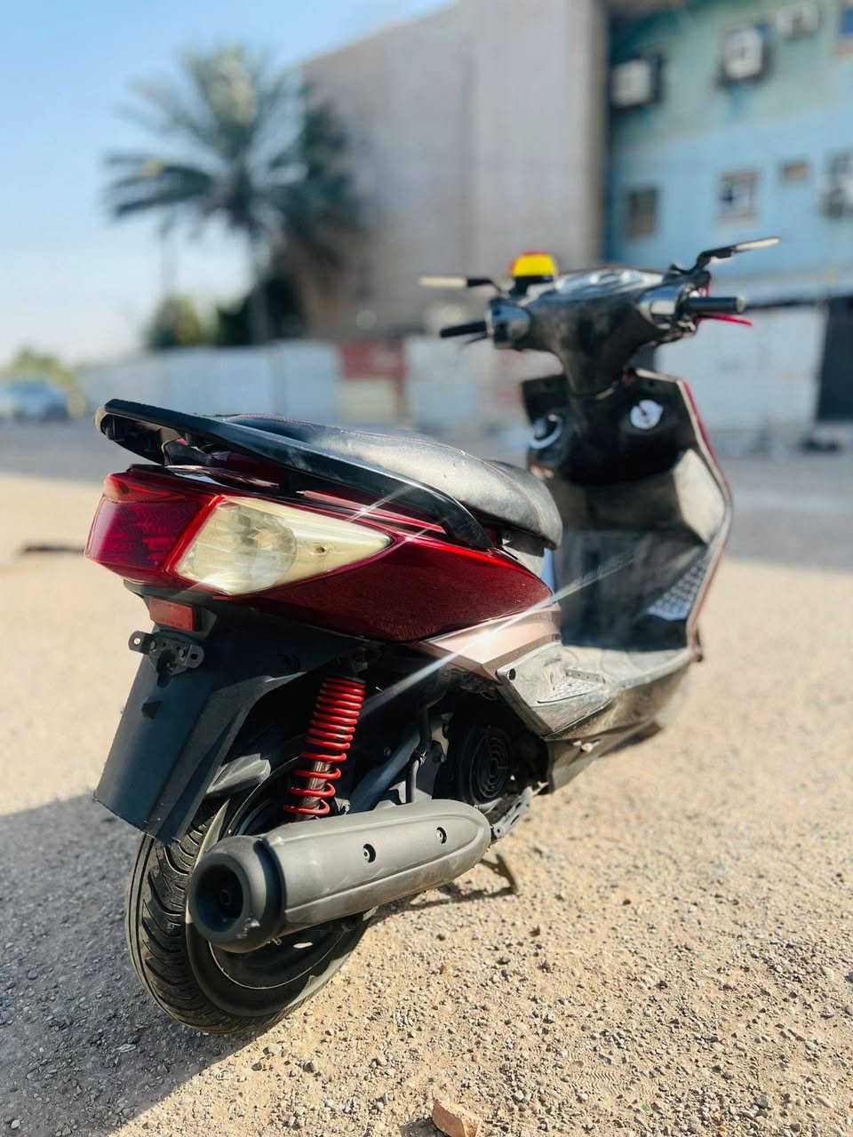 سلام عليكم سكنس فحل للبيع نوزل خطين  موديل 2012 ياباني قبق نفخ  ستاند حساس دراجه معدل يخبل صوت ناعم كفرات  مستبدله تايوان ولقديمات موجوده كهربائيات كلها شغاله بيها امرايات ام الاشاير دهن امزويل بانزين محسن دراجه خير من الله نكره سلف وهندر بكل وقت
عنوان بغداد العامريه السعر 650 وبيها مجال
***********
