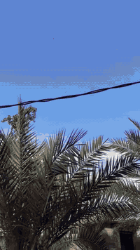 عمي هاي الحلاوه للبيع مديل 2022 ورقه وكيل موجوده مكينه جديده تايرات جديد كهرباياته من طول لطول كله شغال ركبه وشاصي مكفول مكفول ركبه مكفوله مال واحد جناي جمبزه للخير مكاني كربلاء سيد اسماعيل سعره ب ٢ مليونين وبيه مجال قليل الاستفسار اتصل *********** ***********
