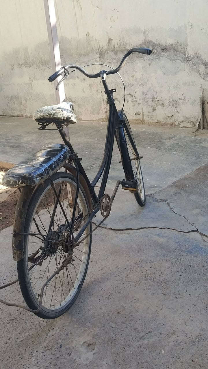 بايسكل للبيع بسعر مناسب


**إذا كنت صاحب هذا الإعلان وتريد حذفه لأي سبب، رجاءا أرسل رسالة إلى الدعم الفني**