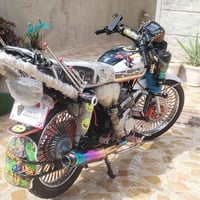 سولنك • ٢٠٢٤ • منفيس