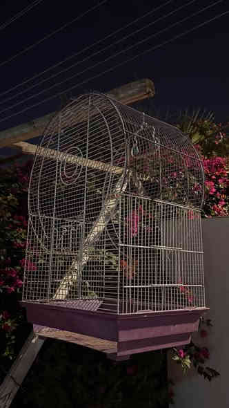 قفص طيور نظيف جداً اخو الجديد السعر 25 وبي مجال مكاني البصرة ياسين خريبط ويوجد توصيل رقمي واتساب *********** البصرة
