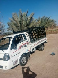 كيا حمل • ٢٠٢٠ • تواير جديدة