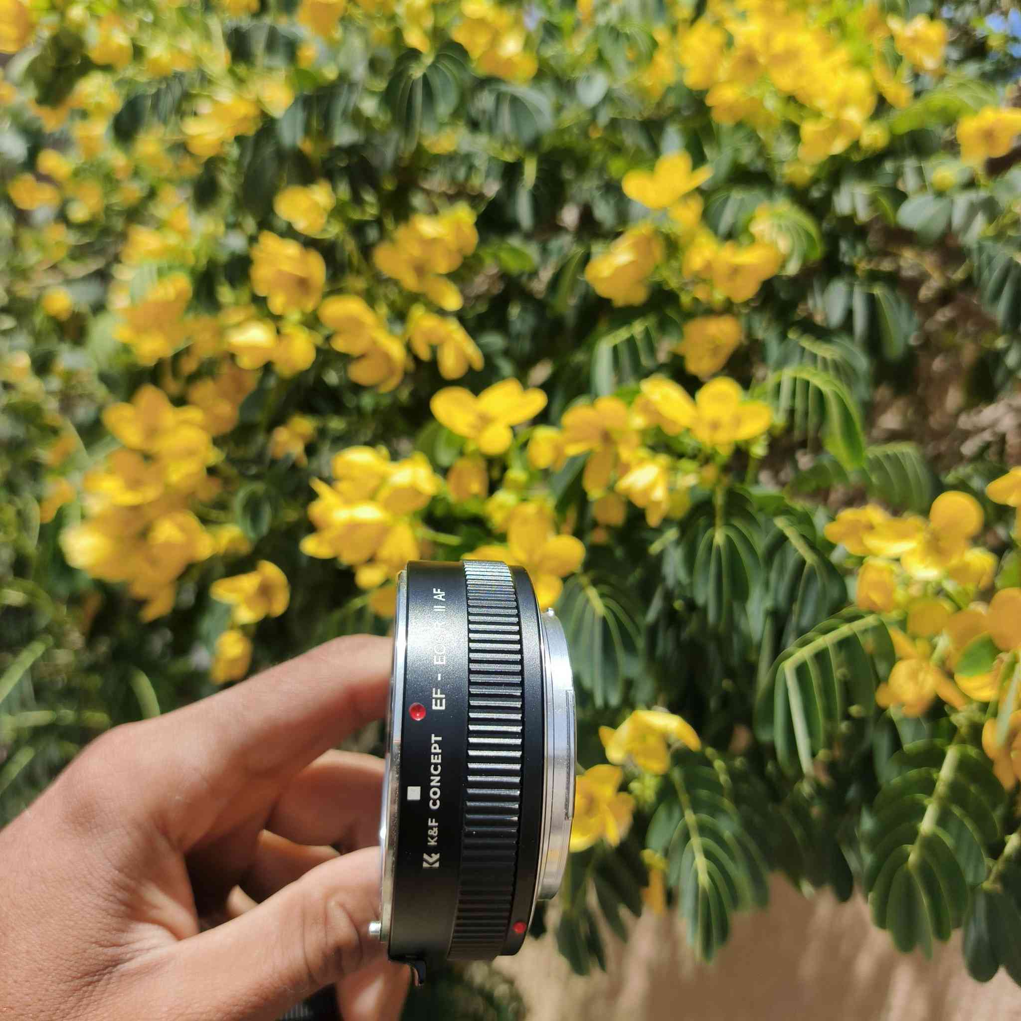 السلام عليكم
غراض للبيع 📸
1- عدسة رياضية 70/200 فتحة 2.8 إصدار الثاني
2- عدسة 85 سكما فتحة 1.4
3- عدسة 50 ملم فتحة 1.8
4- أدبتر جديد بالكارتونة
5- شاحنة وبطاريات للبيع
والي ياخذهن كلهن إله عرض خاص 🔥
📞 رقم الاتصال / آسيا وواتساب:
***********
***********
الأسعار خاص
