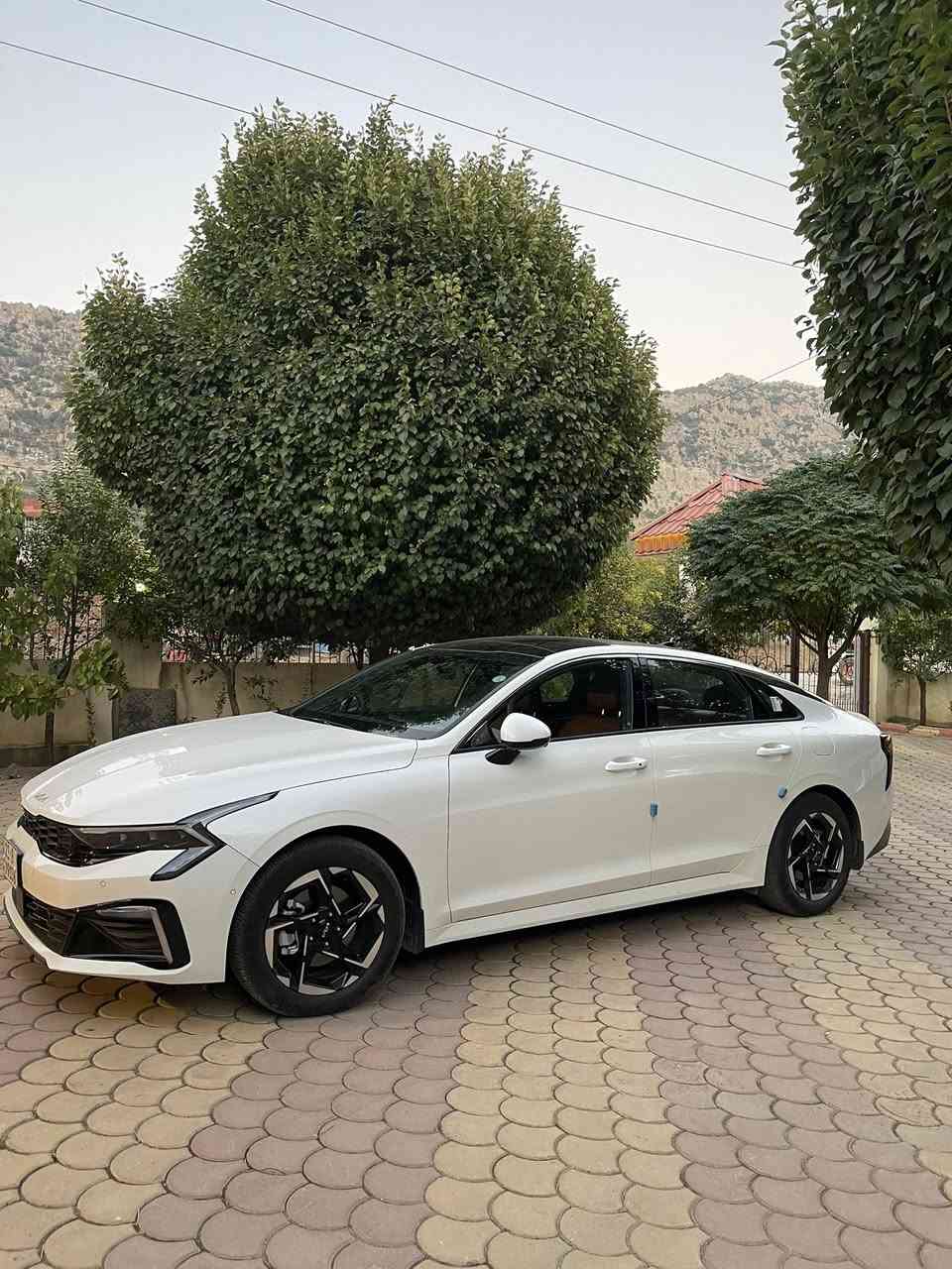 السلام عليكم 
K5 خليجي موديل24
اعلى مواصفات تجي 
كشن حار بارد 
رادارات محيطيه 
مري قلاب عند الرجوع للخلف 
كامرات عدد 4 
خزن ميموري للكشن السايق 
شاشه كبيره متصله 
بنراما 
كشن كهربائي شفط
وباقي المواصفات المعروفه
ماشيه 35 الف كيلو
بيه طخه صارت عندي بالجاملغ الخلفي وبارد بحافة البنيد صوره مرففقه
السعر 23.500 يعني شدتين و 35 ورقه وبيه مجال 
مكانه حي الجامعة 
***********
