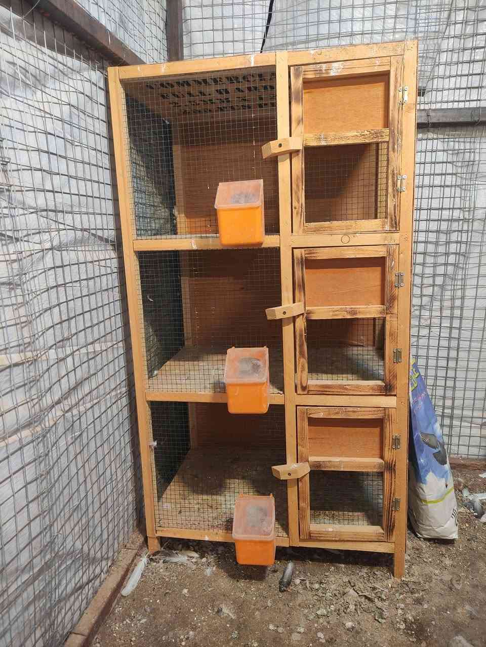 متاح خانات طيور مستعملات اسبوع السعر 30


**إذا كنت صاحب هذا الإعلان وتريد حذفه لأي سبب، رجاءا أرسل رسالة إلى الدعم الفني**