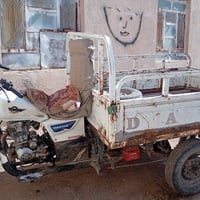 ستوته • موديل 20 • دايون