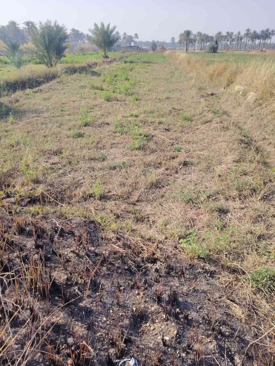 للبيع ارض المساحه ٣ دونم واجهه على شارع تبليط ماء وكهرباء وشارع براسها كامل خدماتها ماء سقي مستمر طول السنه تحتوي على ١٠٠ فسيله تصلح سكن او زراعه المكان طريق شريفه بنت الحسن ع مقابيل الامام محمد العابد ع قريله جدا على طريق الزائرين للاستغسار *********** 
علما اني صاحب الارض وليس دلال
