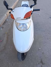 سبيسي • ياباني • كفر اصلي