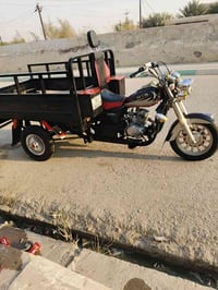 ستوته • موديل ١٩ • كفالة