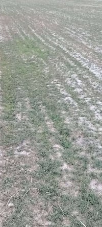 شروه بور للبيع ٥٠ دونم تصال على الرقم  ٠٧٨٤٢٣١٦٨٠٦