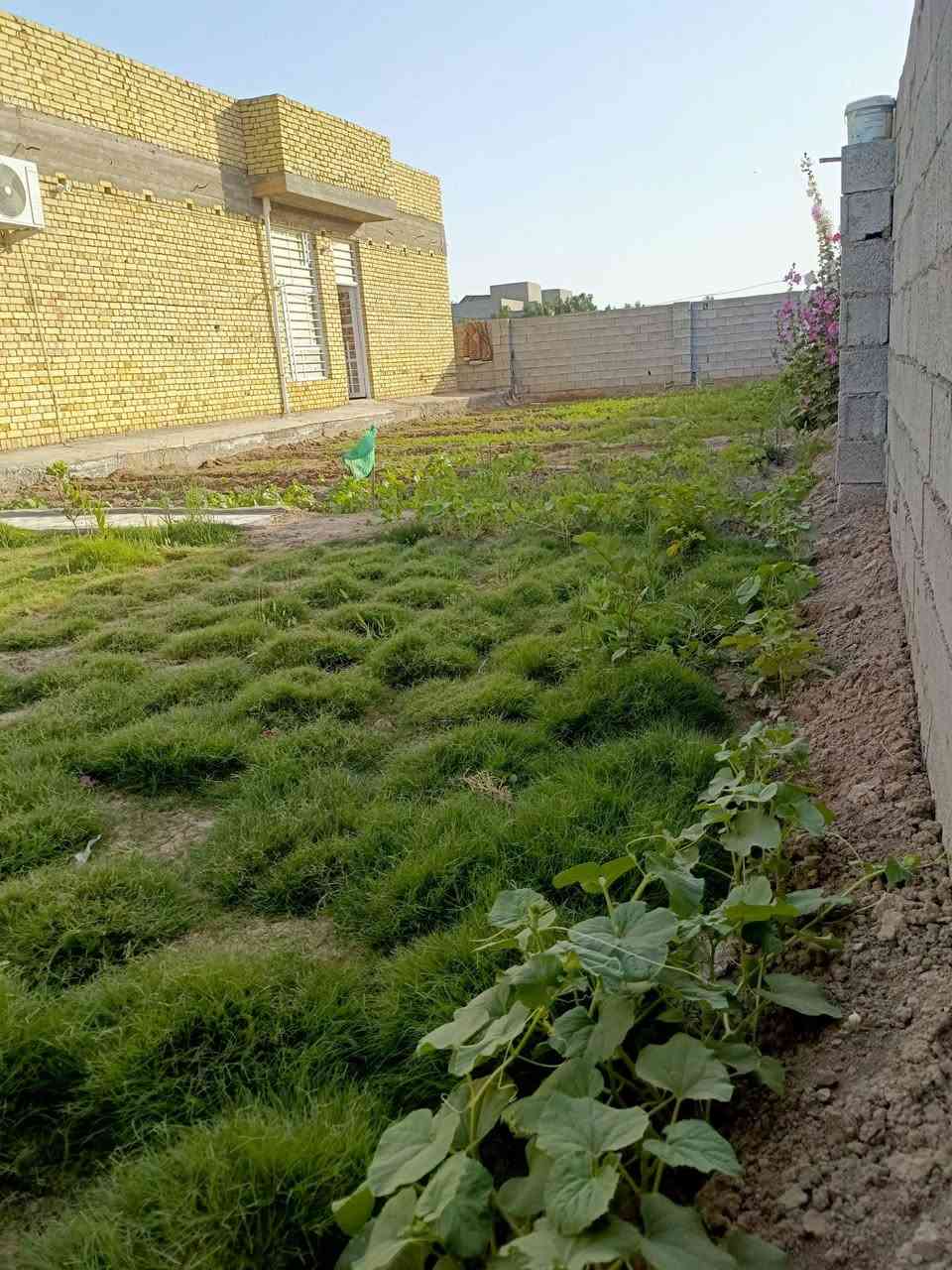 بسم الله الرحمن الرحيم
اللهم صلّ على محمد وآل محمد 

الدار للبيع المساحة 500 متر طابو زراعي سند 25 قرب سيطرت الحولي طريق الزوار يتكون البيت من غرفتين نوم 5×4 استقبال 8×4 مطبخ 5×4 صاله 5×9 مدخلين للصاله بتلو 40 شريطي + رفت 30 السكف كونكريت بناء طابوق درجه اولى مساحه البناء 200 حديقه 300 سنه البناء 2025 للاستفسار الاتصال على الرقم

***********
