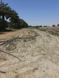 طابو زراعي • ١٢٥٠م • واجهة ٢٠م