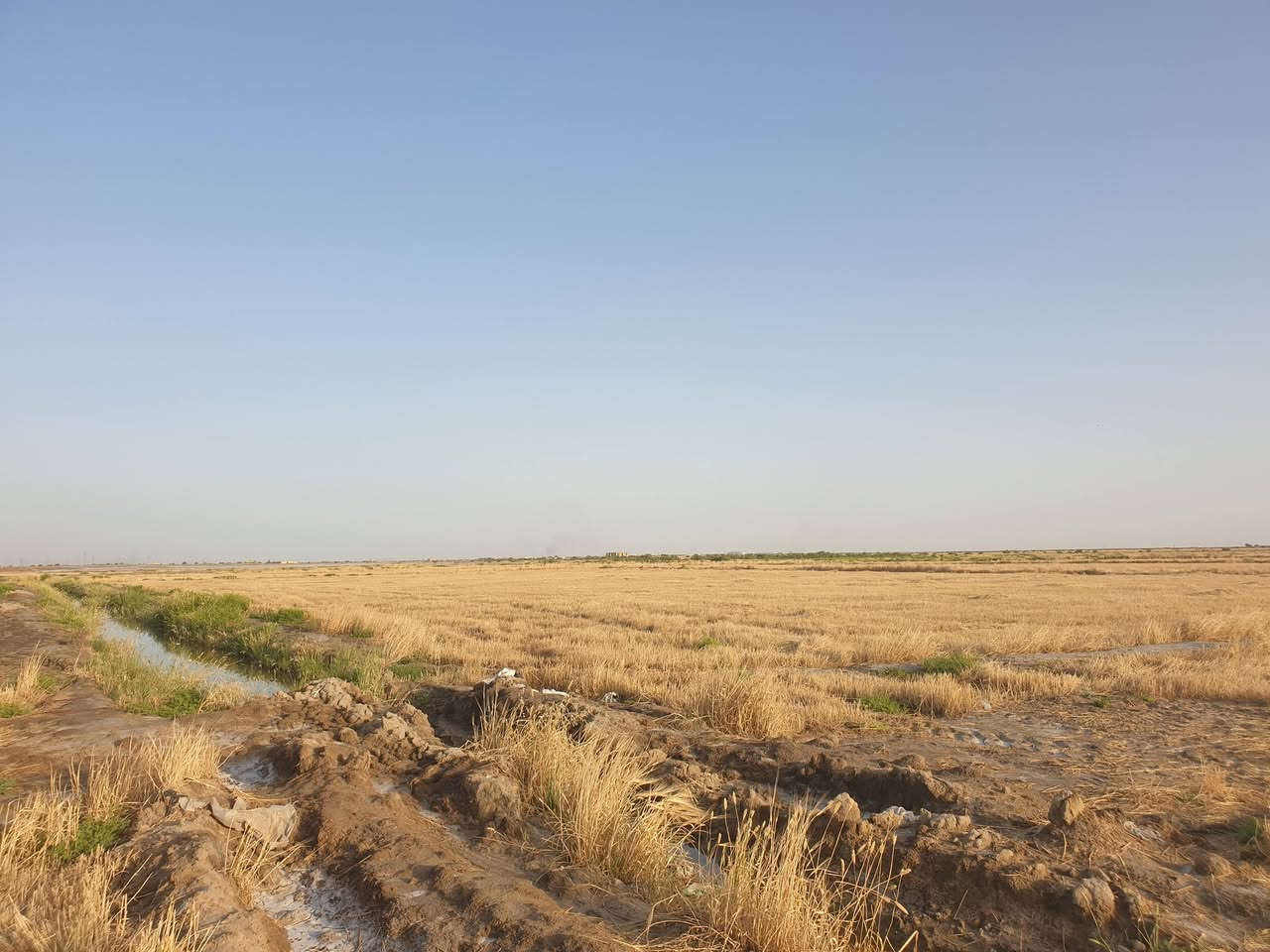 السلام عليكم ورحمة الله وبركاته 
سفير البيع 
***********
حياكم الله
