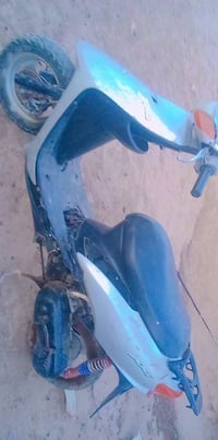 الديوانية • شغالة • مشتريين فقط