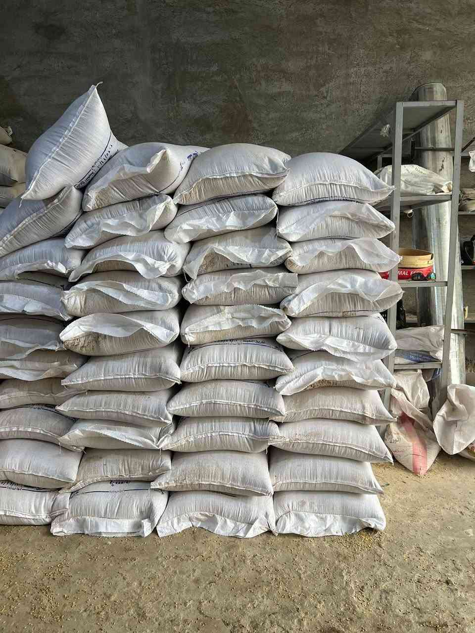 وصول شعير روسي علفي إلى مكتب اعلاف الدجيل شعير درجه اولى العنوان الدجيل الشارع العام قرب مدخل عواره للإستفسار الاتصال على الرقم ***********
