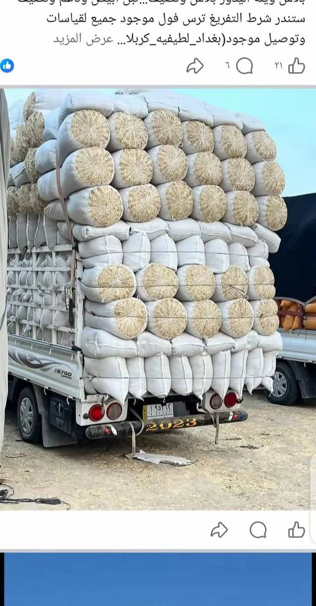 سلام عليكم يوجد لدينا تبن للبيع ابيض شحم جميع القياسات توصيل الكل من محافظات حله  بابل ديوانيه شوملي طويريج القاسم كربلاء الحله بغداد كوت نجف محاويل مسيب خميسه بغداد نتصل رقم (*********** )
جميع مناطق
