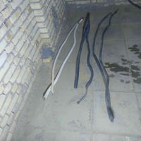 بواري سبلت • نحاس • ٤م+٢م