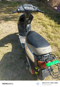 منغولي • ٦٠ • جديدة