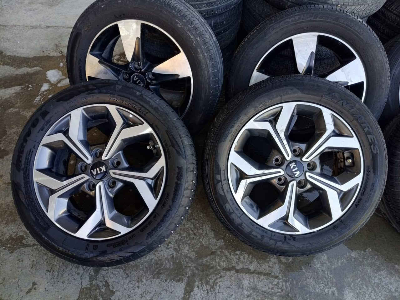 تخم ويل كب فورتي سيراتو اصلي شركة حجم 16 اصلي شركة العنوان بغداد الشعلة ***********
***********
