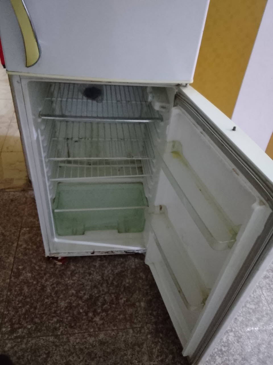 ثلاجه سعرها 120


**إذا كنت صاحب هذا الإعلان وتريد حذفه لأي سبب، رجاءا أرسل رسالة إلى الدعم الفني**