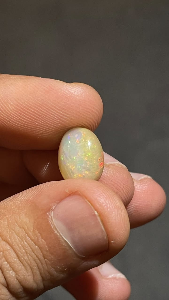 حجز اوبال فول فاير التصوير ضالمها  وعندي فيديو الها سعر 25


**إذا كنت صاحب هذا الإعلان وتريد حذفه لأي سبب، رجاءا أرسل رسالة إلى الدعم الفني**