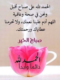 الخلف الخضر • قطعة ارض • ٢٥٠م