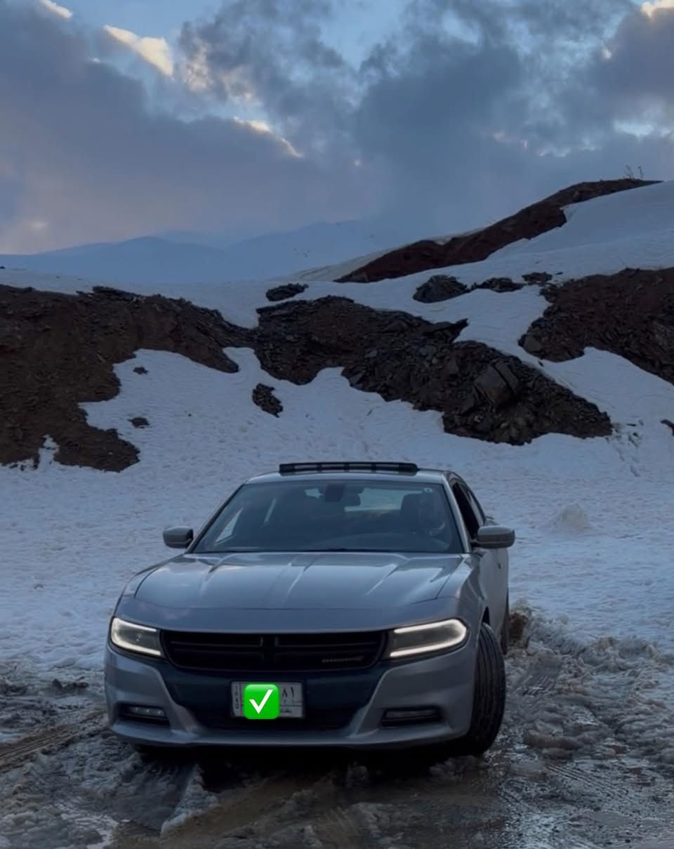 جارجر 2015 (وارد كندي كلين)
محرك V6  3600
ماشية 82 ml

رقم بغداد تحويل مباشر 

فتحت سقف 

كشن سايق كهرباء 

تدفئة بالكشنات 

شاشة كبيرة +كامرة 

لايت زنون 

تخم ويل بوليسي اصلي 

بدون اي نواقص استخدام شخصي 

السيارة كفاله من صبغ والفتح فقط بارد مكانين بسيطات 

مكان السيارة بغداد 

الاستفس
ار ***********
