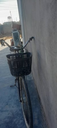 باسكل • حجم ٢٦ • قابل تفاوض