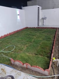 تكريب وشلاع النخيل وشلاع المايه وتصميم حدائق بسعار مناسبه 07706639246