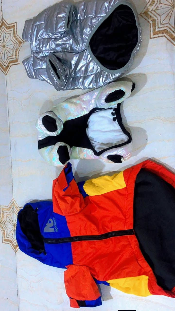 معقولة محد مربي كلاب اجلكم الله
ذني كلهم ب١٠ فقط
ملابس وفراش


**إذا كنت صاحب هذا الإعلان وتريد حذفه لأي سبب، رجاءا أرسل رسالة إلى الدعم الفني**