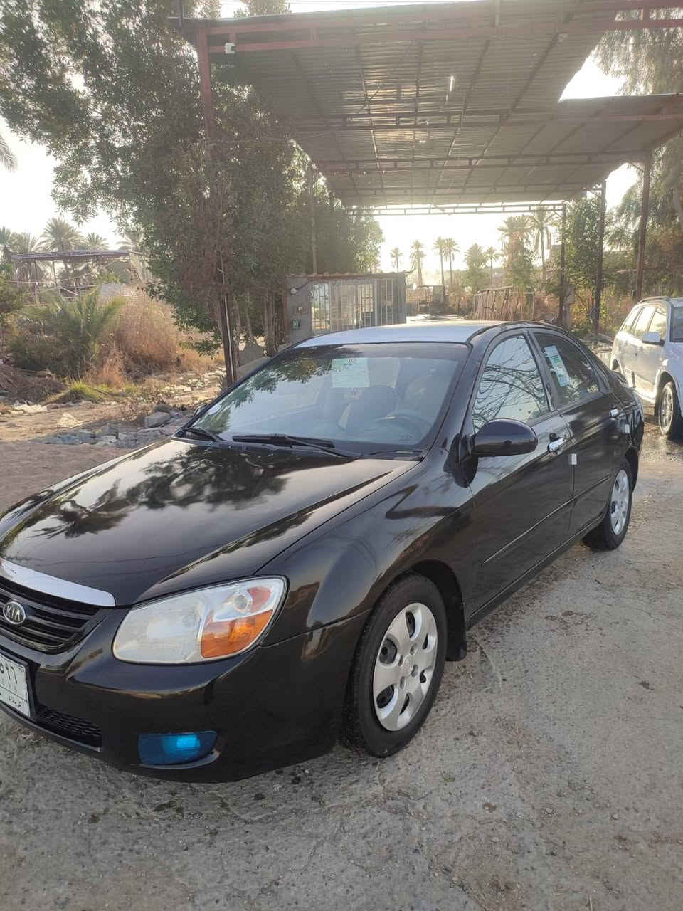 السلام عليكم كيا سبكترا موديل2008 رقم كربلاء تحويل مباشر حادثه جاملغ خلفي مصبوغه  احزام كير  مكينه حداديه تخم تاير تبريد كفاله العنوان كربلاء السعر 78 بيه مجال 
***********
