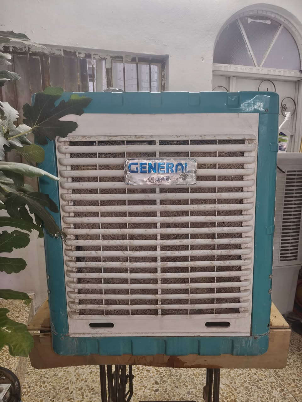 مبرده جنرال شغاله شرط سرعه وحده ابواب بلاستك شرط نضافه فول اخت الجديده سعر 125 بيه مجال قليل


**إذا كنت صاحب هذا الإعلان وتريد حذفه لأي سبب، رجاءا أرسل رسالة إلى الدعم الفني**
