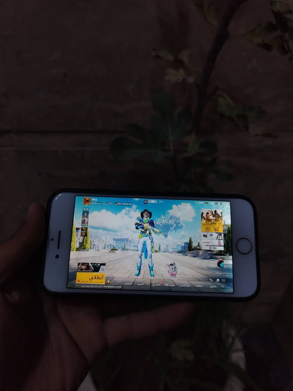 سلام عليكم
ايفون8فقط ذاكره 64🔋100 انسه شحن ولله فول شحن ما يصرف
بوبجي 60فريم سلاسه كلش حلوه
جهاز مبدل فقط بطاريه وكاله+ كامره
الخلفيه بيه رجه يرادله مقلاطيس ما يكلف 5الف ولله + شاشه بيه رطوبه خفيف ما ماثره نضافه خارجيه100/
شحن تكنيك تصال حدث فرمت فول
سعر85عنوان بغداد بلدبات
للاستفسار***********
