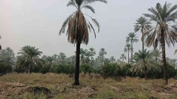 يا الله سلام عليكم ١٦٠٠ متر البيع طابو سند ٢٥
العنوان المدائن منطقة جعاره
تحويل مباشر بسمك  
الوجهة ٢٣  
نزال ٦٩
تبعد عن سعد ١٥٠ متر شارع كله مزارع
الاستفسار اتصال برقم ***********
