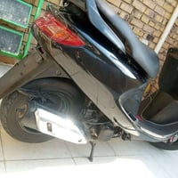 فراشة بلدي • مامفتوحه • فحل