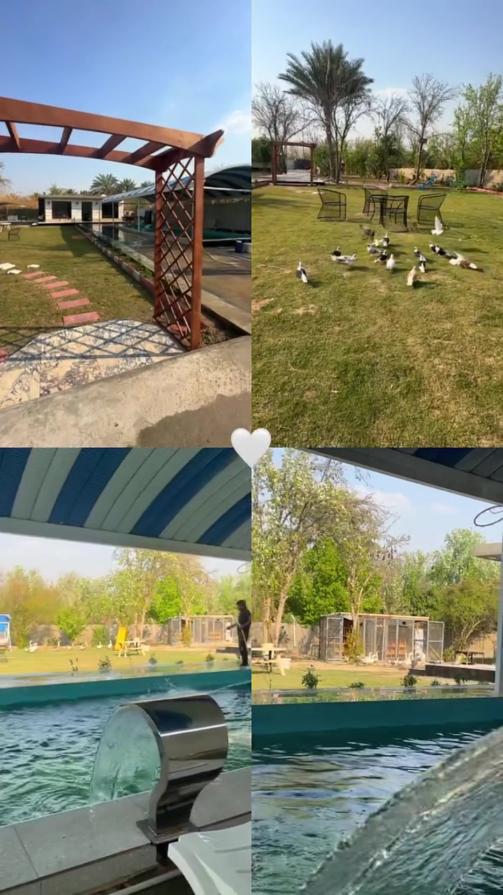مزرعة لارا للإيجار اليومي 💐
مساحه المزرعه دونم 📍
تحتوي على بيت 🏠 غرفتين نوم وصاله ومطبخ وحمام📍
تحتوي على مسبح 🏊📍
تحتوي على مكان شواء 
شواية سمك شواية لحوم تنور طين📍
تحتوي على العاب كبار وصغار 
بليارد سوبر
فيشه عدد ثنين
منضده
سله
ريشه
زحليقه
مراجيح 
توازن وفرارة📍
وتحتوي على حديقه كبيره مناسبه لإقامة حفلاتكم 📍
محميه كامله للحيوانات📍
مزرعة لارا بطراز كلاسك جميل 
تجعلك تشعر بالراحه والسعاده
***********واتس متوفر على مدار الساعه💐💐
