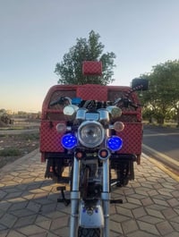 ستوتة شمالية • ٢٠٢٢ • كفاله عامه