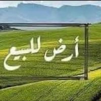 عبور الجسر الفرنسي 3دونم يم ابوعروج سعر الدونم 20مليون الواحد 07712778...