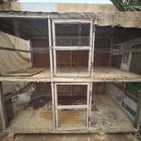 07889673094 قفص للبيع السعر 50