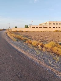 ابو غريب • ٥ دوانم • طابو زراعي