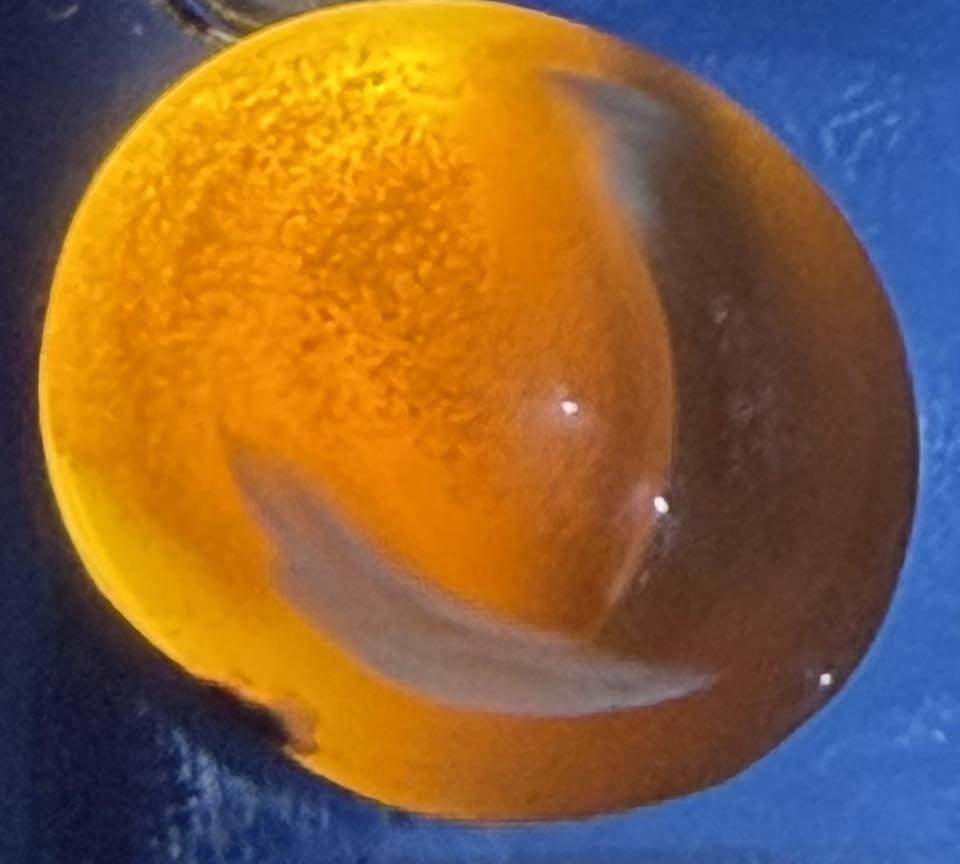 سلام عليكم للبيع كل حجر  وسعره التفاصيل خاص


**إذا كنت صاحب هذا الإعلان وتريد حذفه لأي سبب، رجاءا أرسل رسالة إلى الدعم الفني**