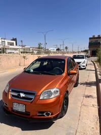 افيو ٢٠٠٧ • بدون صبغ • سنوية ٢٠٢٩