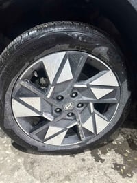 زوج ويل للبيع اصلي بلادي 2025  شرط احلهن من السياره لافطر ولل ا تصليح ...