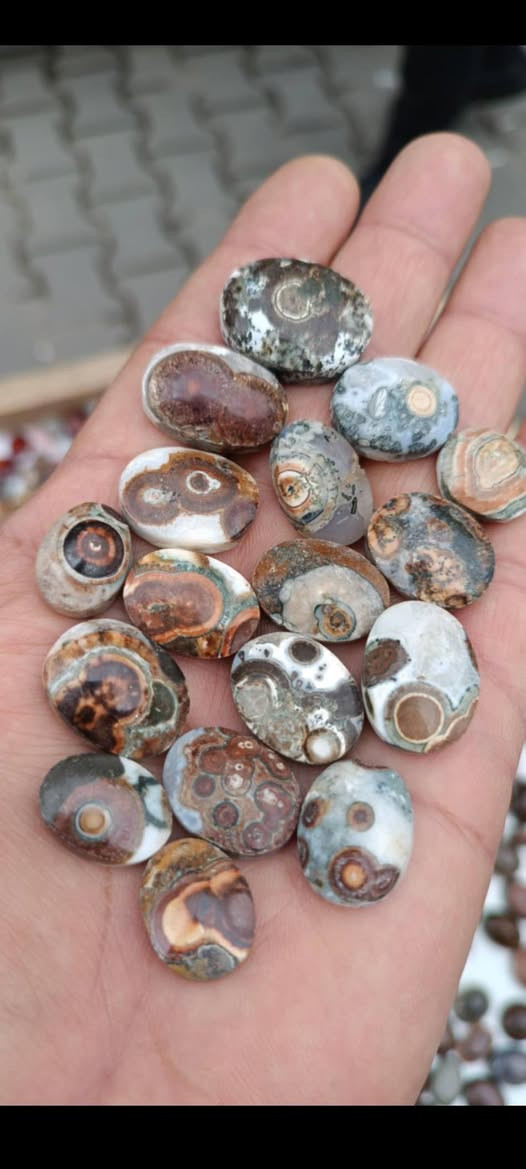 مجموعه يماني داوودي بقري أحمر مشمشي ابيع شلعتهم على 3 آلاف وأذا مفرده على 5 آلاف بس مابيع وحده أقل عدد 10 قطع ويوجد جميع انواع اليماني الطبيعي المميز العنوان بغداد الميدان شارع السبح مراسله أو أتصال رقمي *********** رجائا لحد يخلي ويكلي شوفلي هاي الحجره هاذه المحبس
