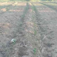 كربلاء الخيرات • ١٨ دونم • سند منفرد