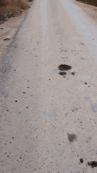 للبيع قطع اراضي زراعية في منطقه اركيه وفاضل اتصال 
***********
