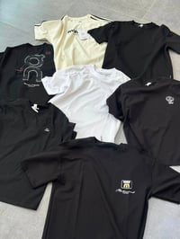 زياء ايبو • آخر القطع • طوز خورماتوا