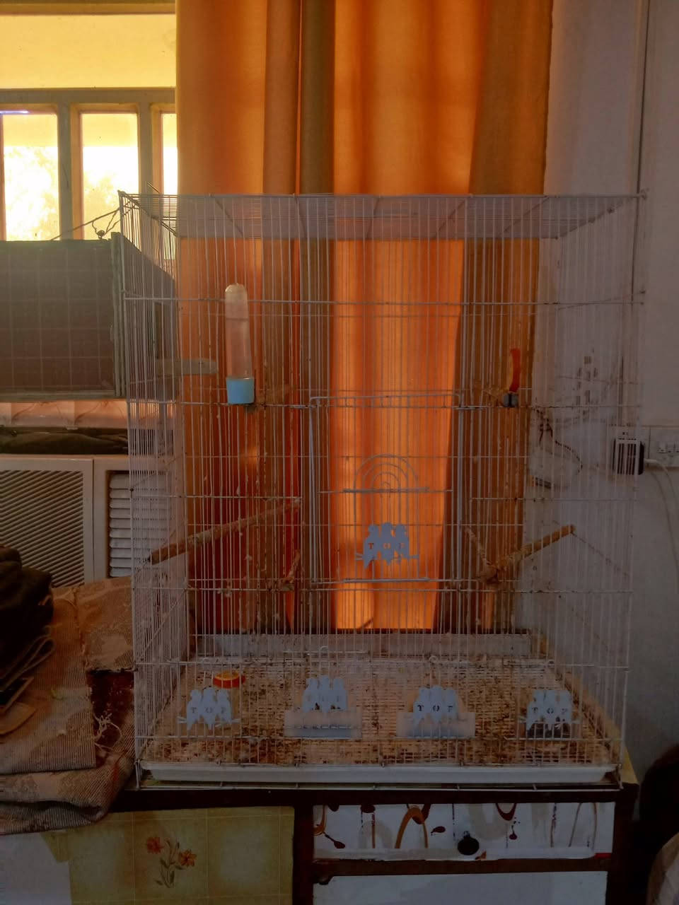 السلام عليكم قفص للبيع سعر خاص مكاني واسط العزيزية


**إذا كنت صاحب هذا الإعلان وتريد حذفه لأي سبب، رجاءا أرسل رسالة إلى الدعم الفني**